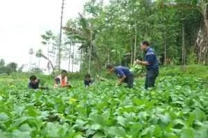 Harmonisasi Alam di Taman Kehati Pabrik Aqua Babakanpari, Sukabumi