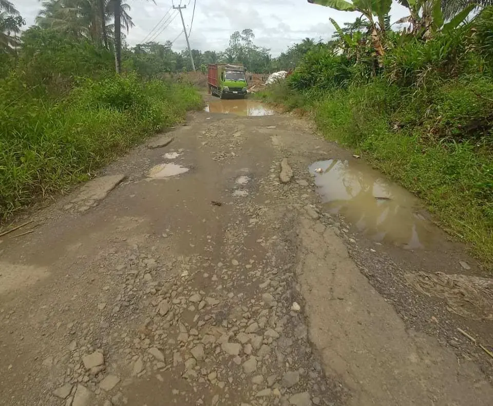 Peratin Pekon Mon Arwansyah Pastikan Jalan Trans Swakarsa SP 4 Akan Diperbaiki Tahun Ini