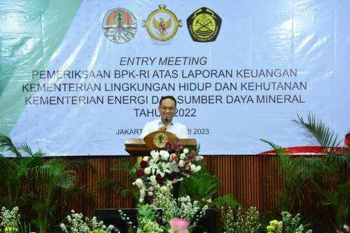 Anggota IV BPK Ingatkan Kementerian LHK dan ESDM Terkait Ini