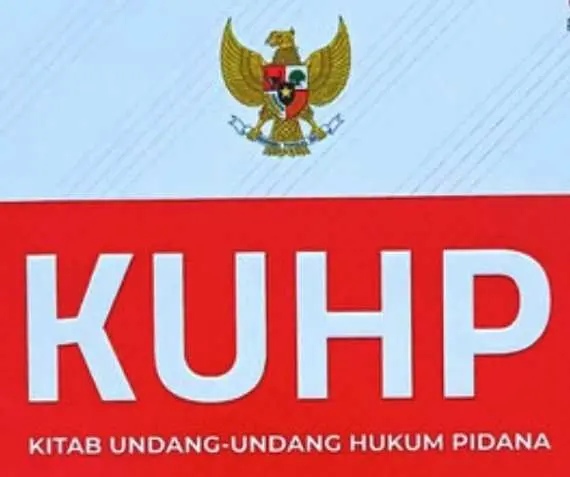 Dewan Pers : UU KUHP Ancam Kemerdekaan Pers dan Demokrasi