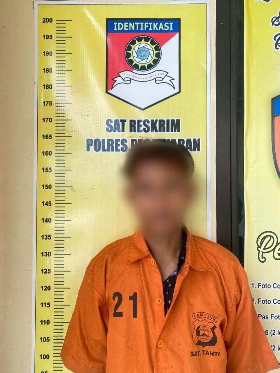 Cabuli Anak Dibawah Umur, Pelakunya Diamankan Polisi