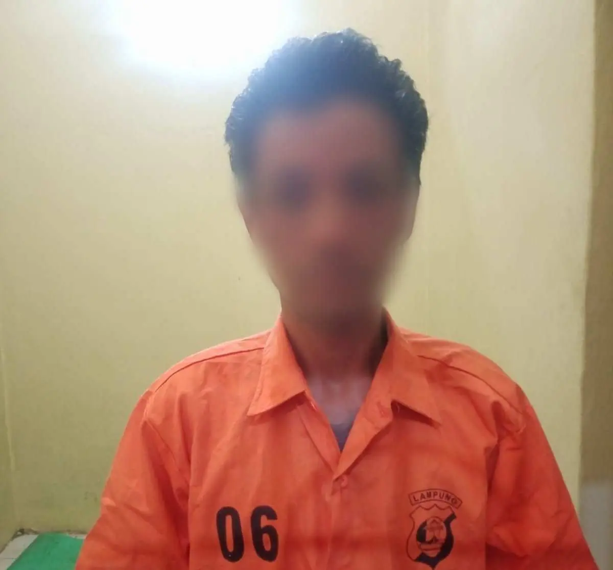 Tim Tekab 308 Polsek Tegineneng Amankan Pelaku Curat