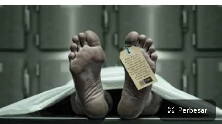 Sempat Sembunyi, Pelaku Pembunuh Ibu Kandung di Lampung Akhirnya Ditangkap Polisi 