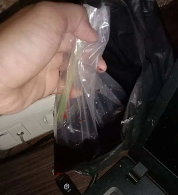 Dua Calon Mahasiswi UBINA Diperlakukan Tidak Senonoh Oleh Oknum Diduga Staf Universitas