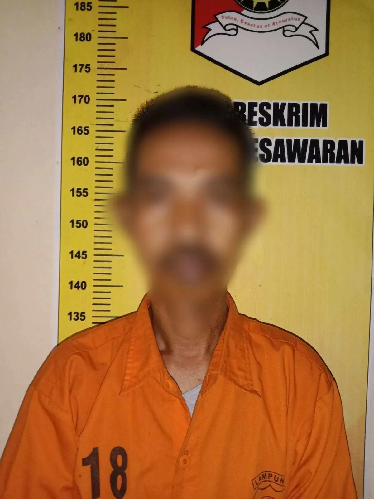 Diduga Cabuli Anak Dibawah Umur, MS Warga Desa Kebagusan Diciduk Polisi