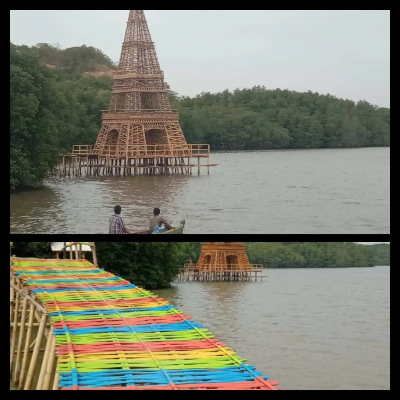 Desa Sidodadi Punya Wisata Traking Mangrove Cuku Nyinyi, Ayo Kunjungi