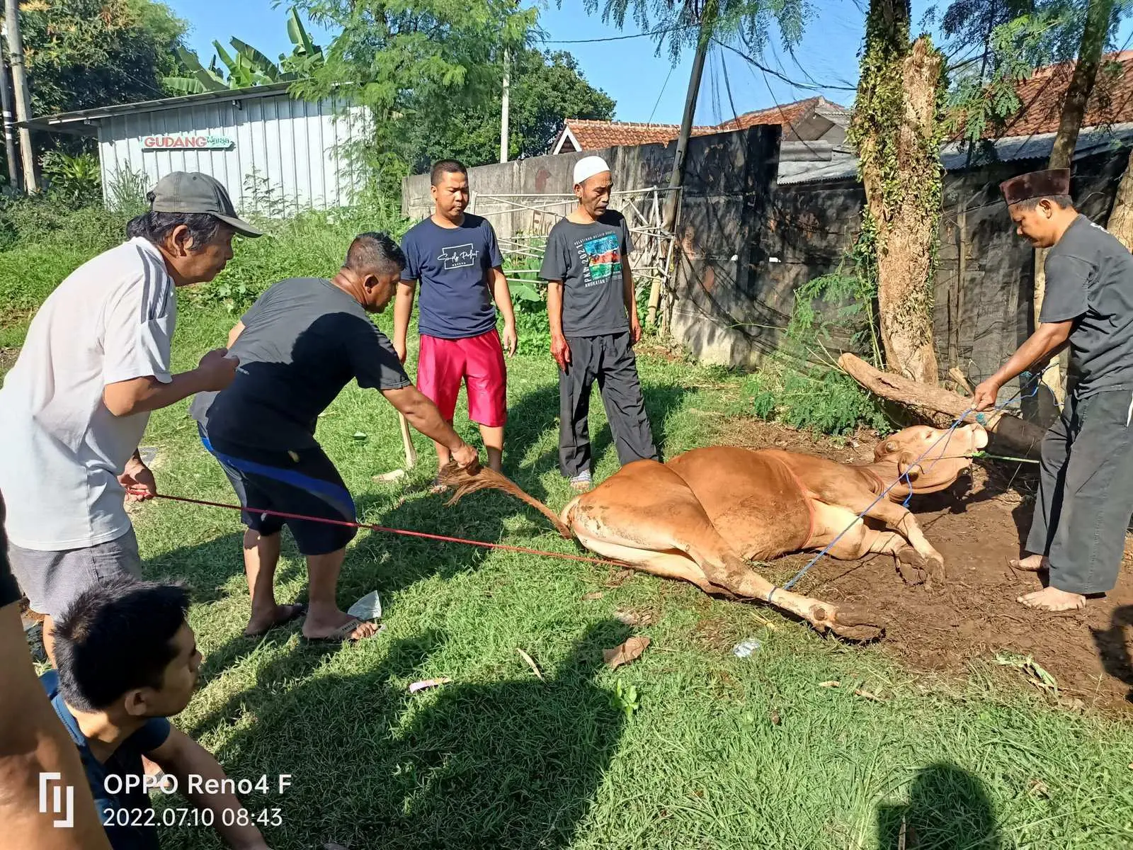 Warga RT 05 Perumahan Bogor Asri Melakukan Penyembelihan Hewan Qurban
