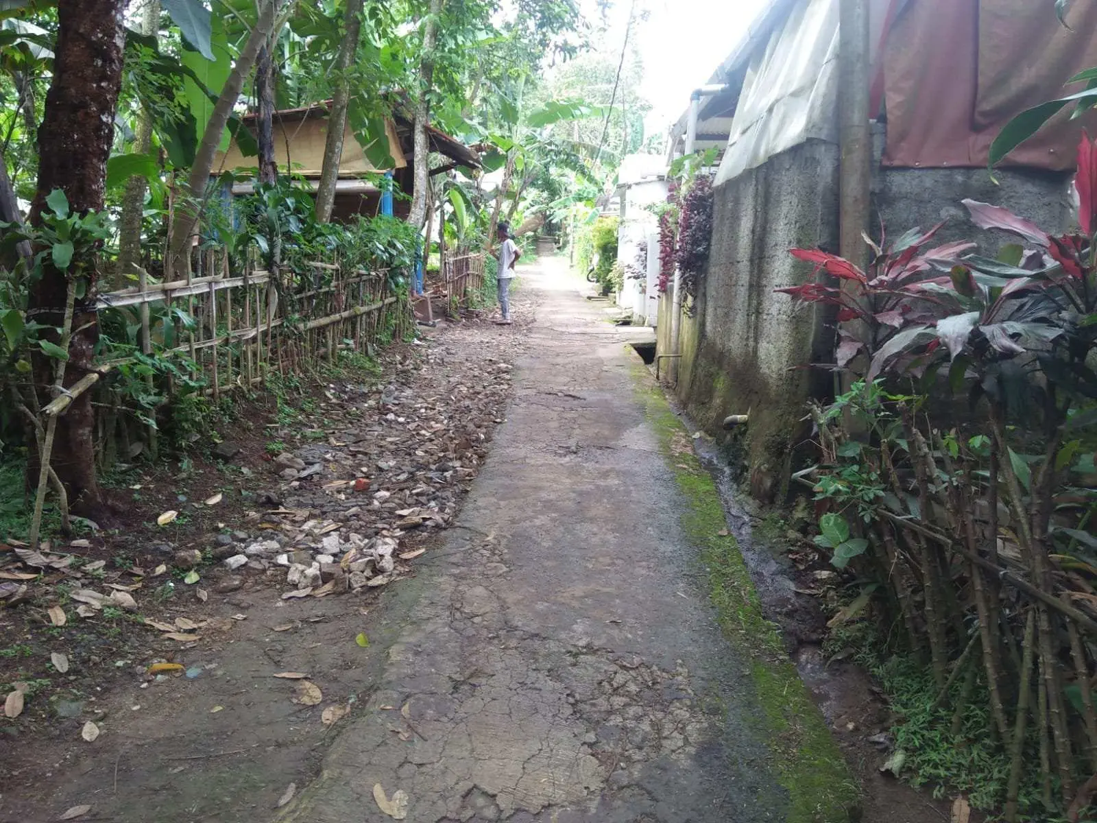 Jalan Bitung Pesantren Perlu Perhatian Pemkab Bogor
