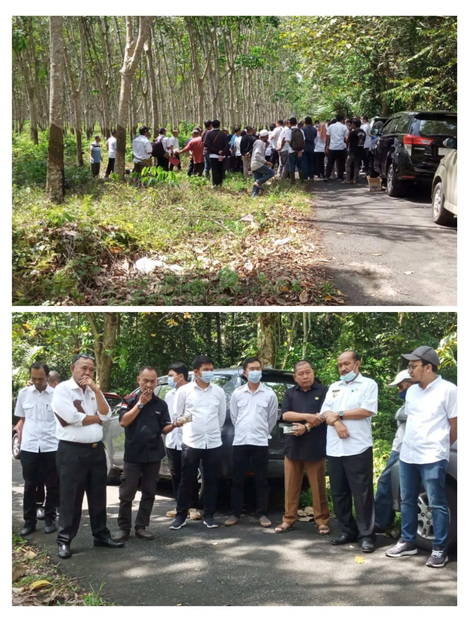 Diduga PTPN VII Unit Way Berulu Garap Hektaran Lahan Tanpa Memiliki HGU