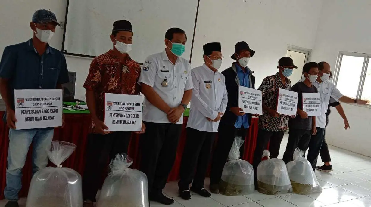 Lima Pokdakan di Mesuji Terima Bantuan 10.000 Benih ikan Jelabat Dari Bupati