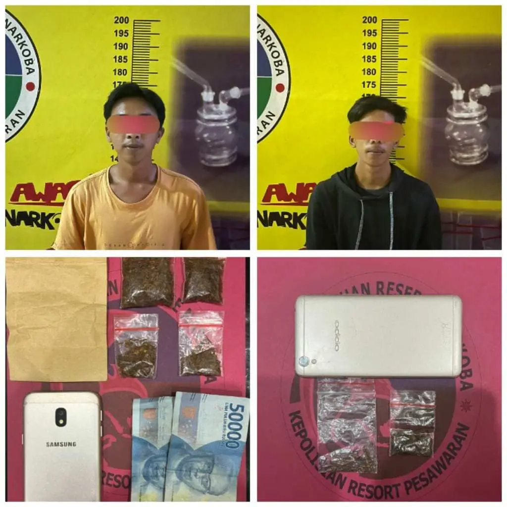 Dengan Cara Under Cover Buy, Polres Pesawaran Amankan Dua Terduga Pengedar Ganja