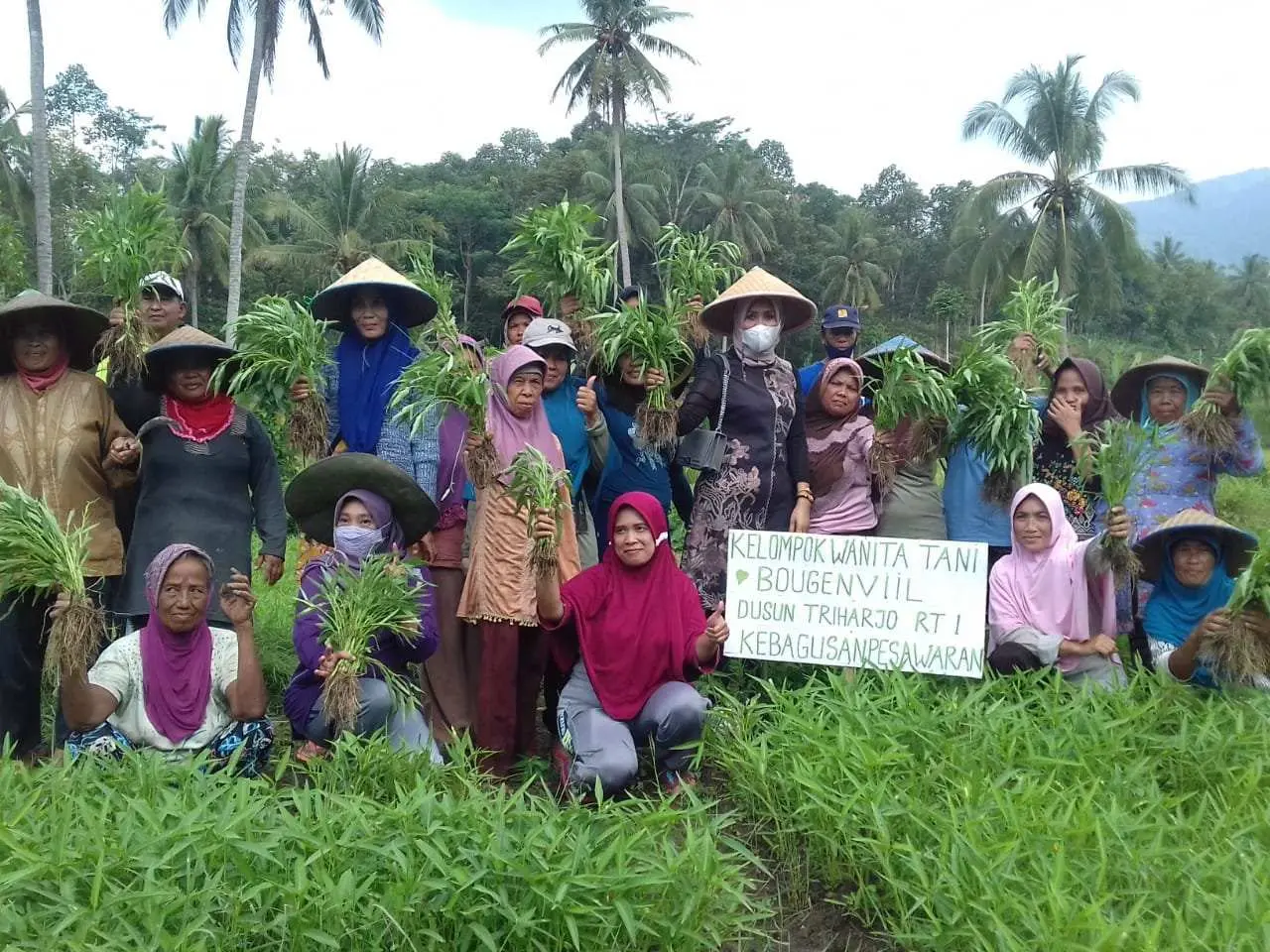 KWT Bougenviil Panen Kangkung, Ini Kata Evi Susina