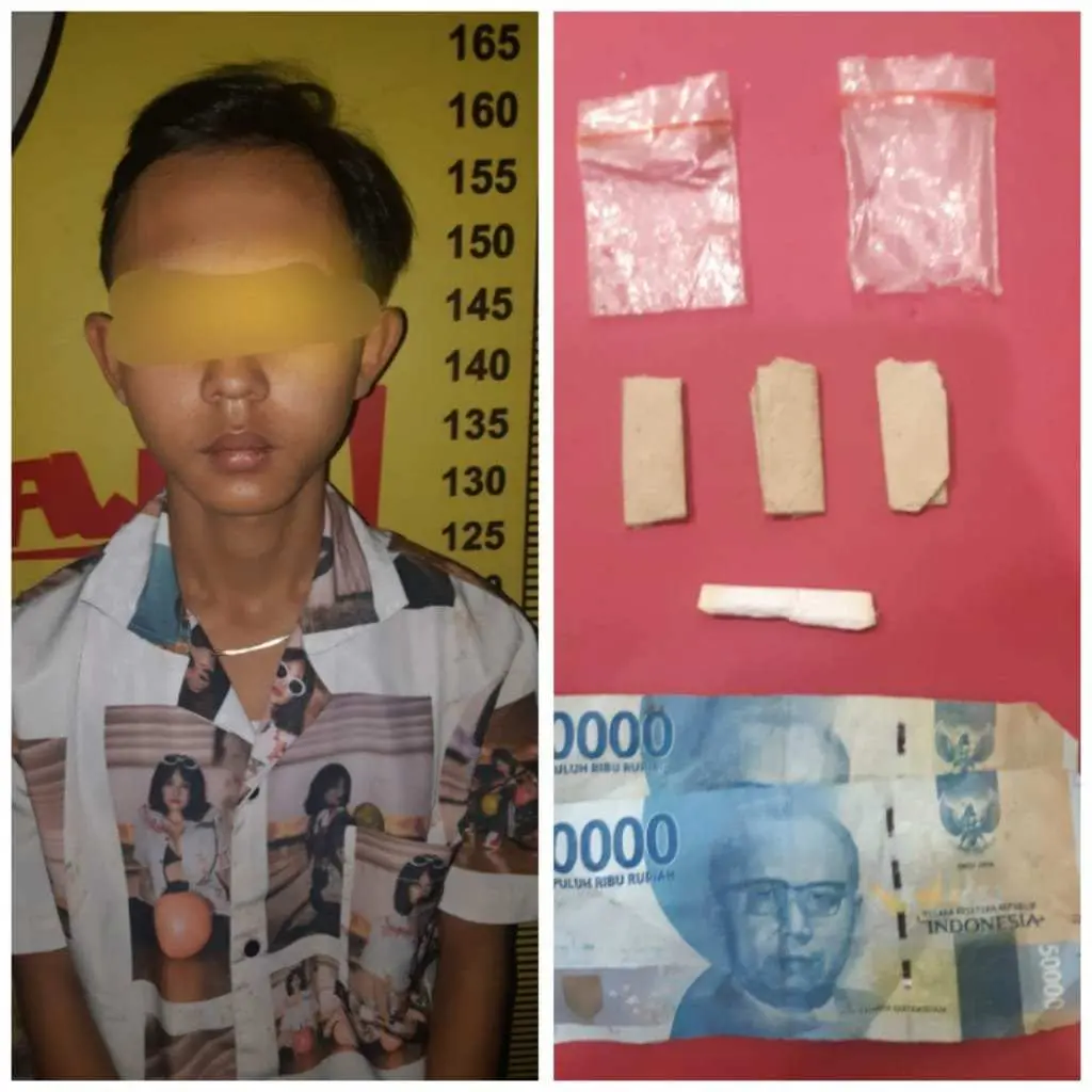 Diduga Sering Transaksi Tembakau Gorila Akhirnya Diamankan Polisi