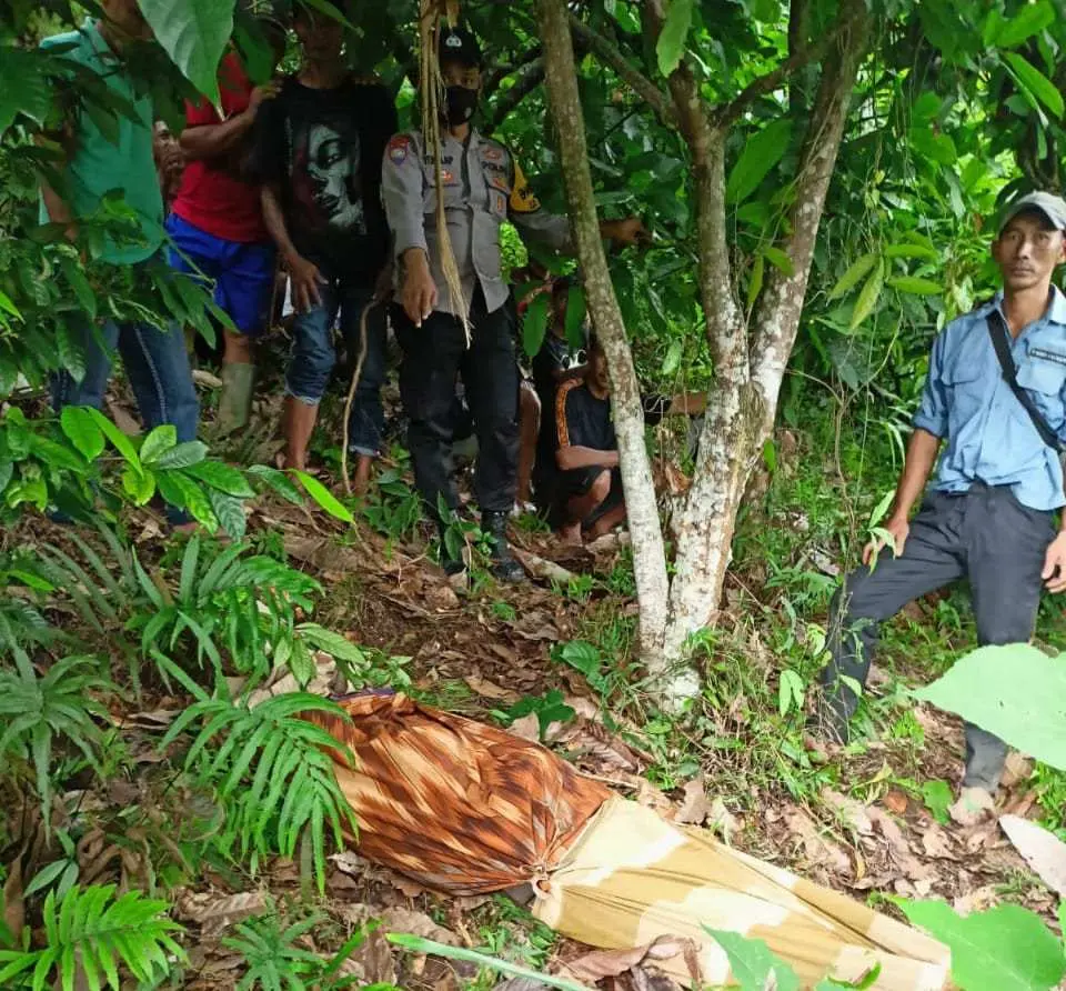 Sering Berhalusinasi, Suroso ditemukan Tewas Tergantung di Pohon Kakao