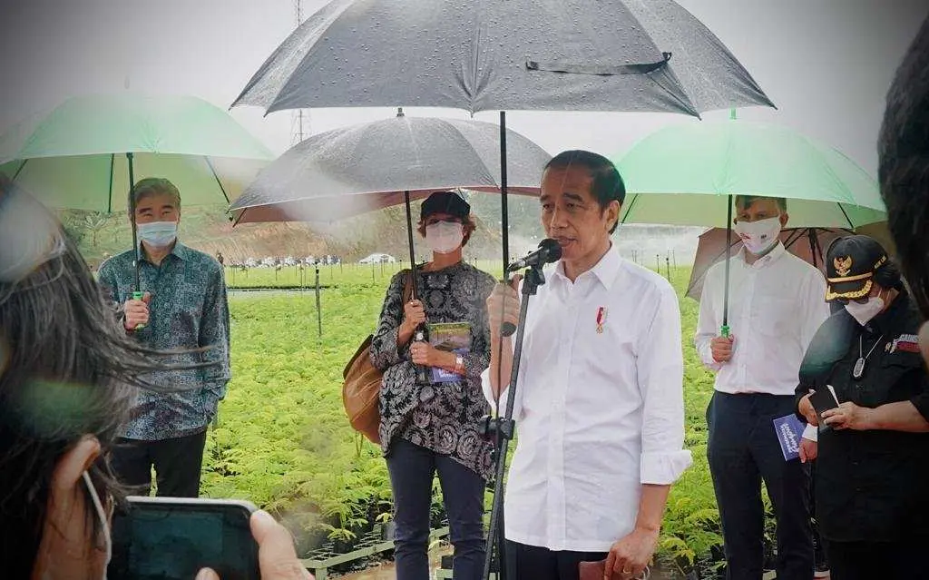 Tinjau Persemaian Rumpin, Presiden: Indonesia Serius Tangani Perubahan Iklim