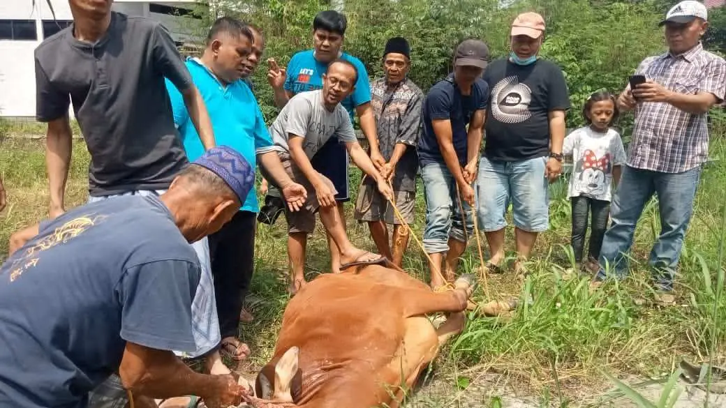 Idul Adha 1442 H, PWI Kabupaten Bogor Sembelih Hewan Kurban