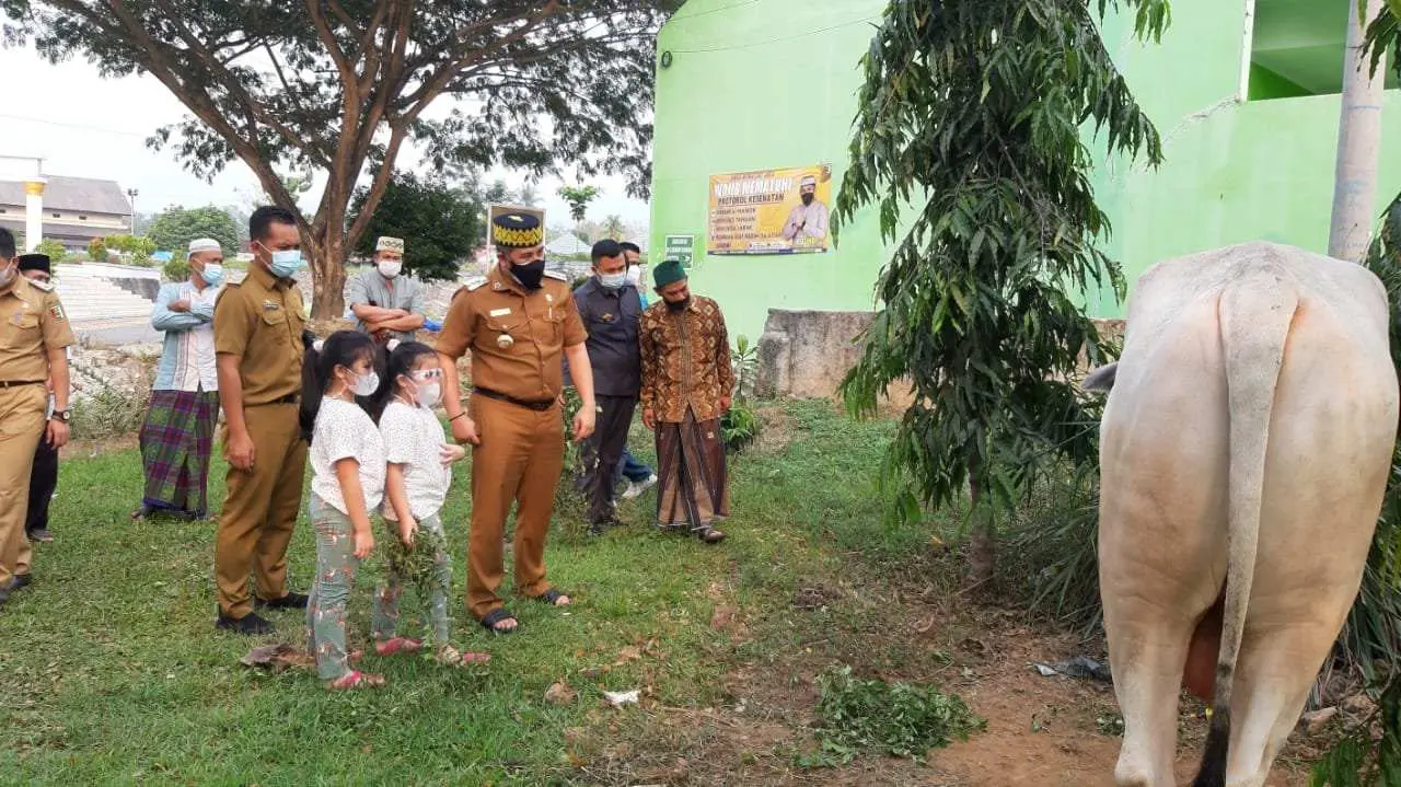 Bupati Pesawaran Serahkan Satu Ekor Sapi Qurban Kepengurus Masjid Islamic Center
