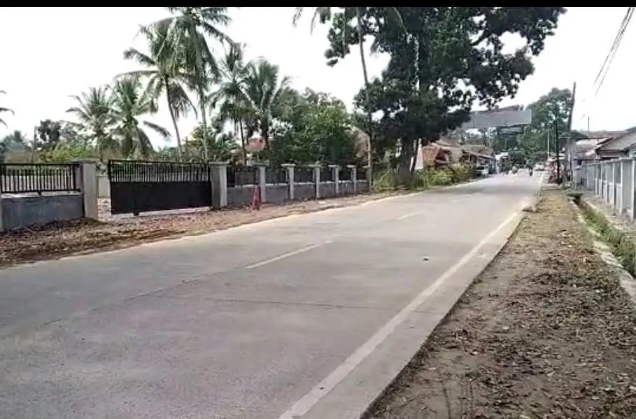 Penebangan Pohon Secara Ilegal di RUMIJA, LSM SULUH Angkat Bicara