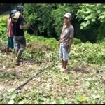 Bahaya.! Warga Desa Tanjung Rejo Was-was, Kabel PLN Bertahun Dibiarkan Terurai di Tanah
